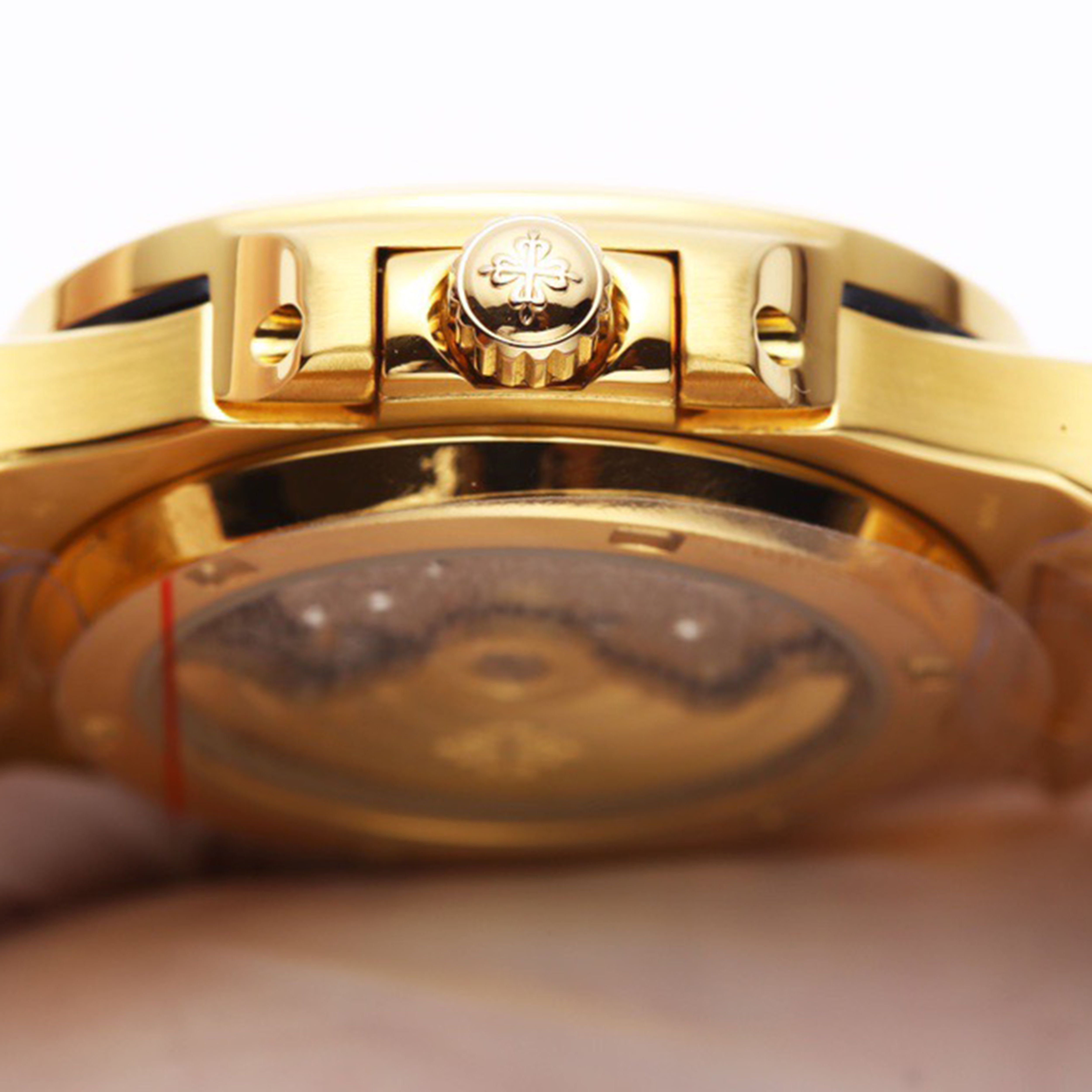 Pat*k Philippe - Popular Parrot Series Men's Watch