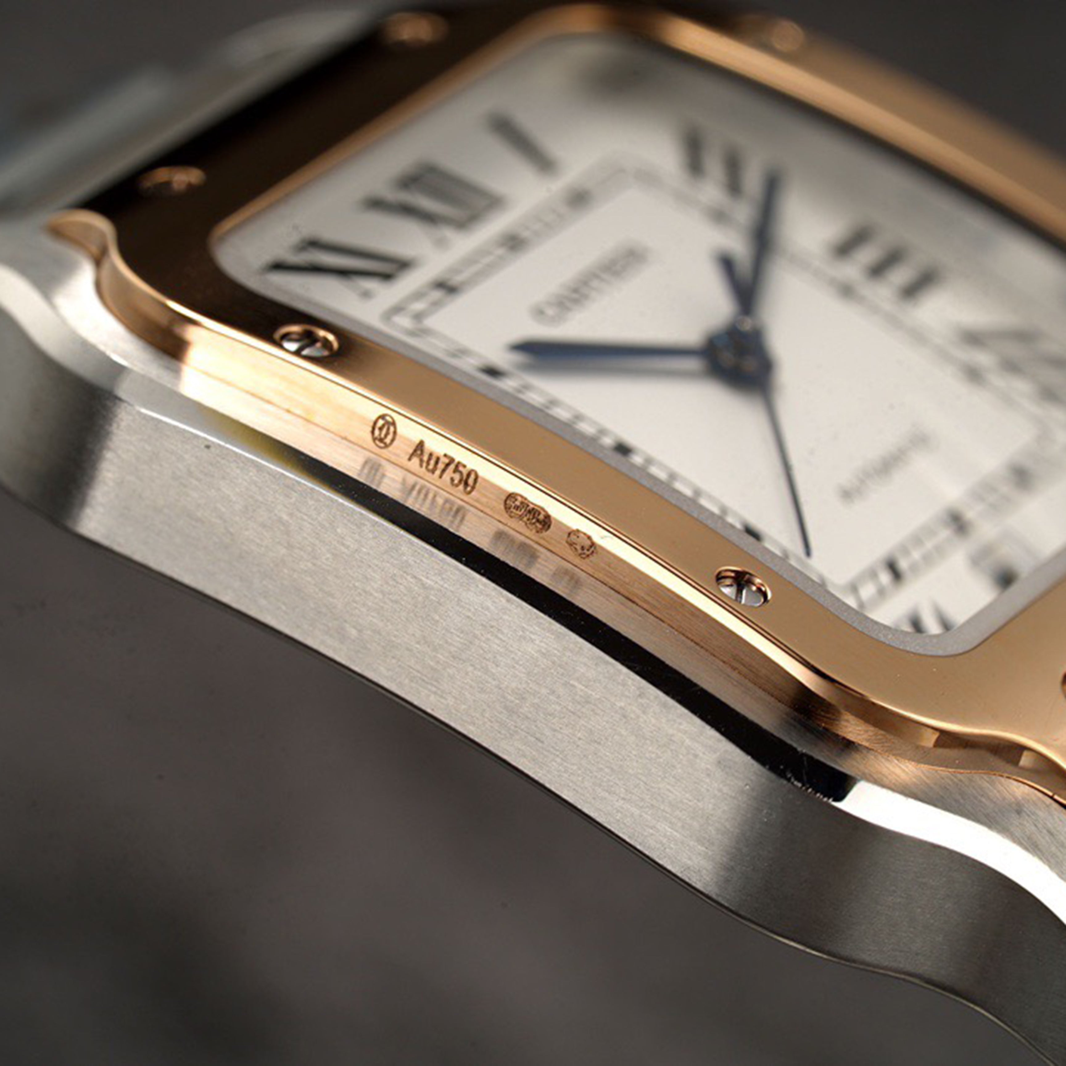 Carti*r Santos Men's Watch