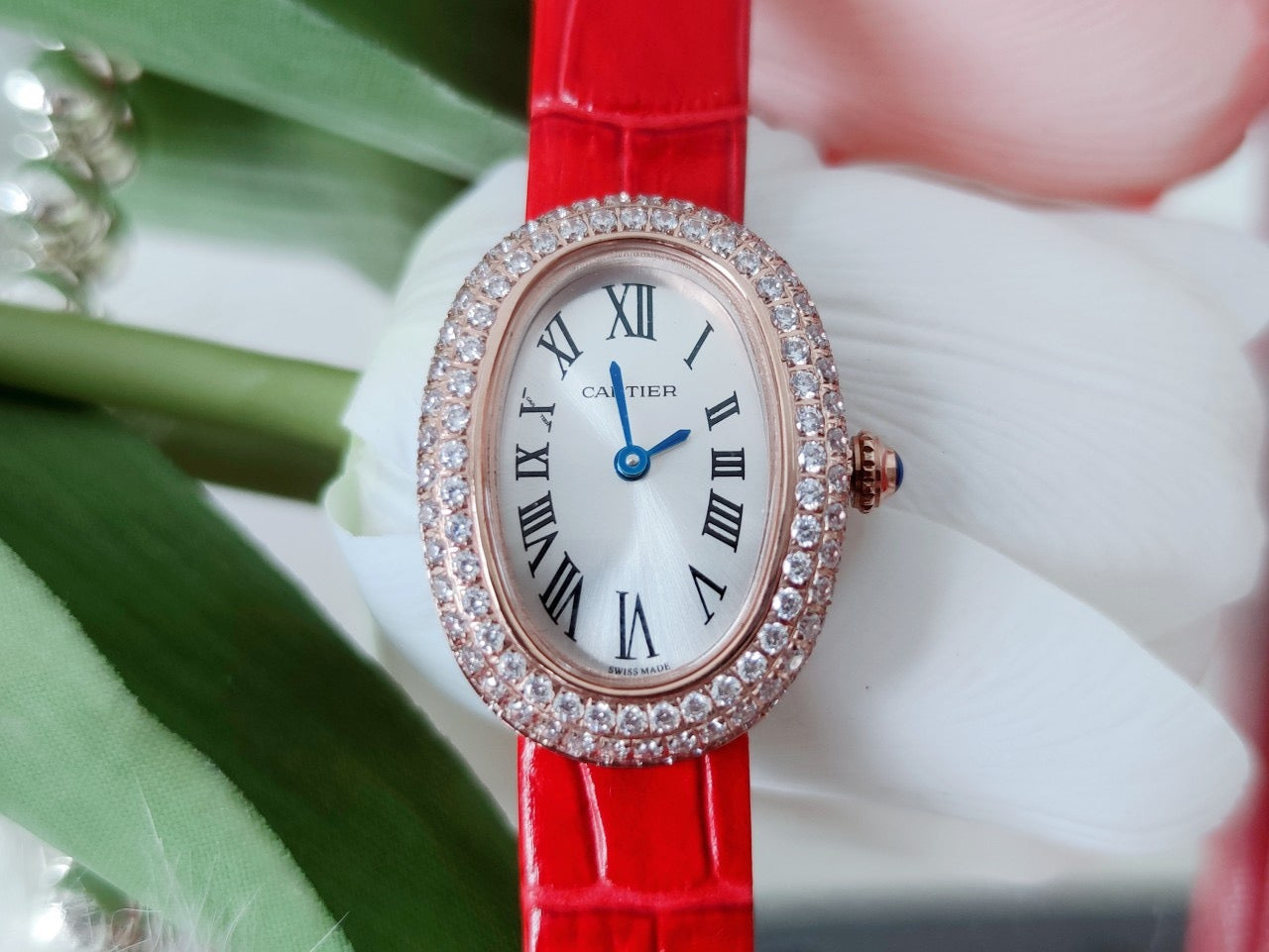 Carti*r Baignoire Bathing Tub Collection Watch