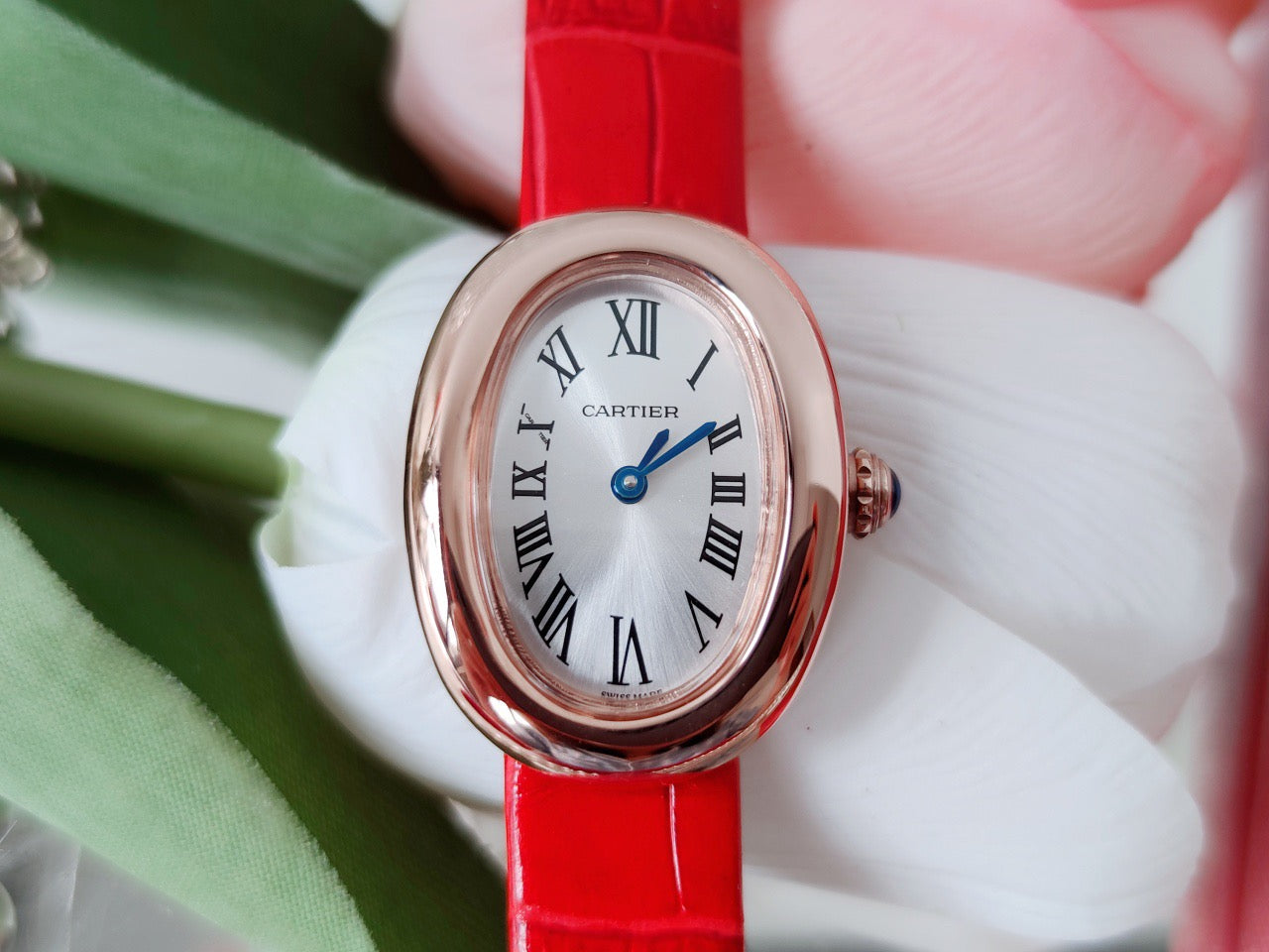 Carti*r Baignoire Bathing Tub Collection Watch