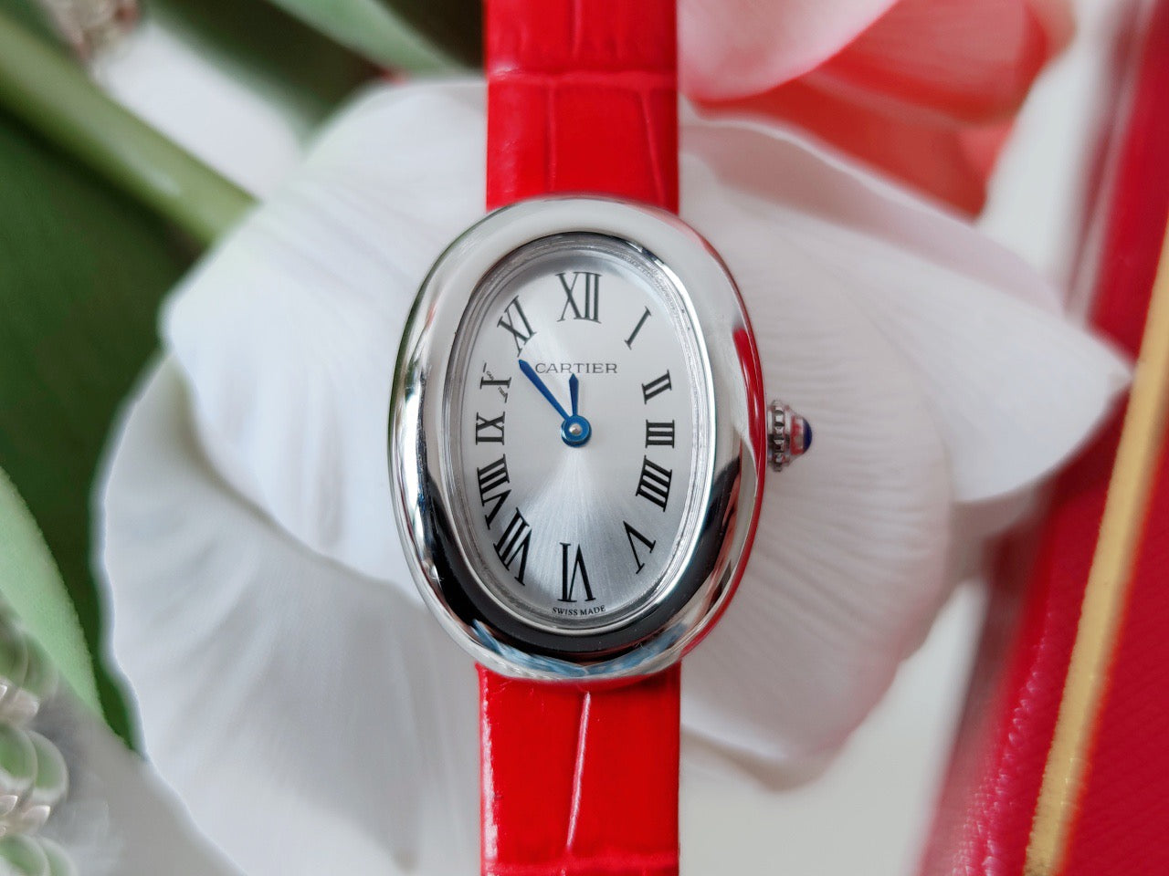 Carti*r Baignoire Bathing Tub Collection Watch